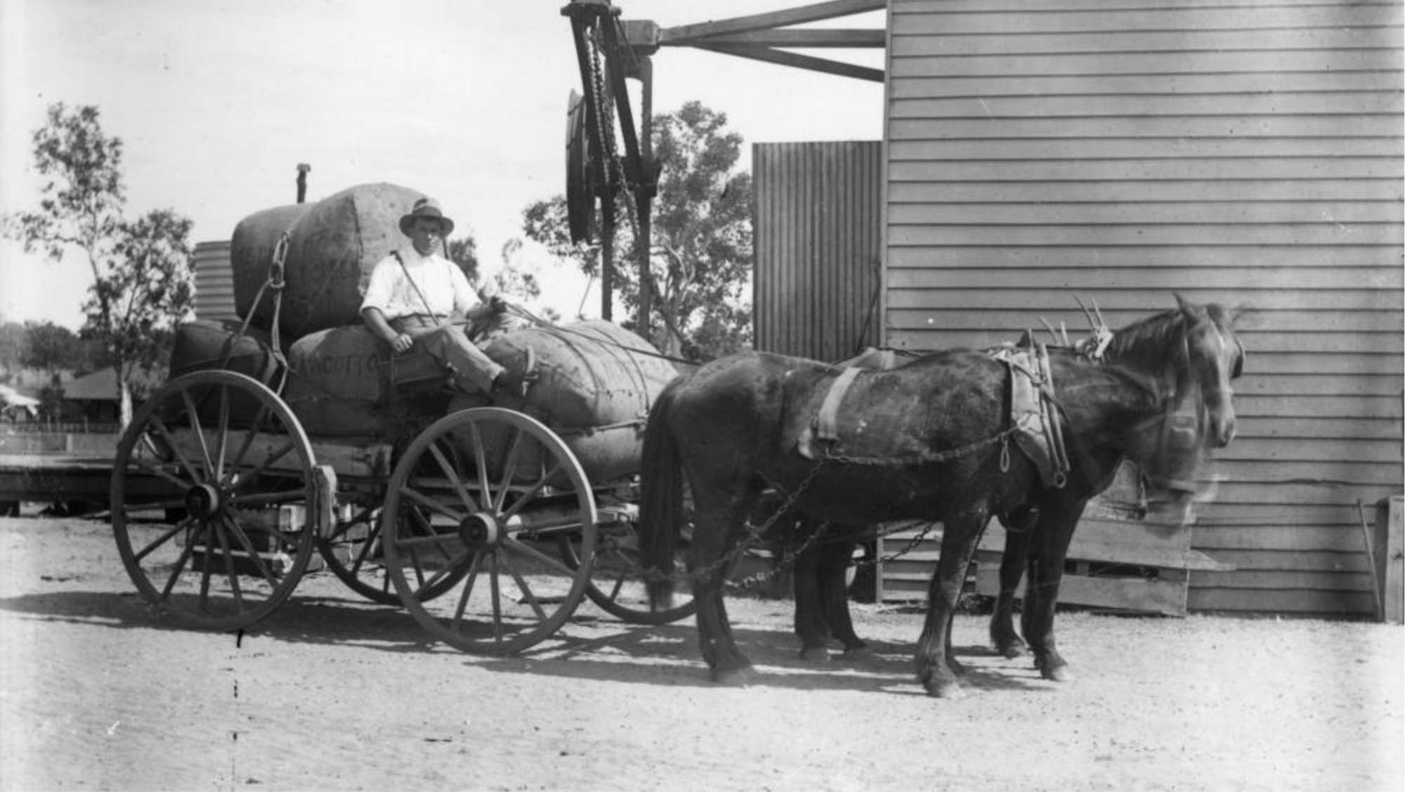 Black and white image of a man on a horse and cart